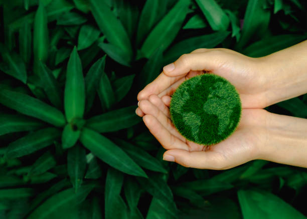 istock Ecosystem. Earth Day. Forest conservation CSR ESG NET ZERO. Environment. Green earth ball in hand in green forest background. 2166702210