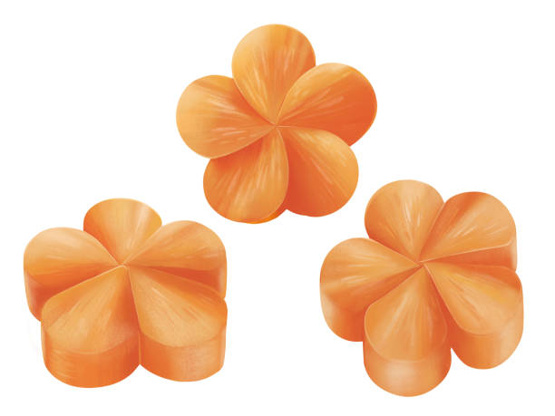 istock Hand-drawn illustration of twisted plum and decoratively cut Kintoki carrot 2166703527