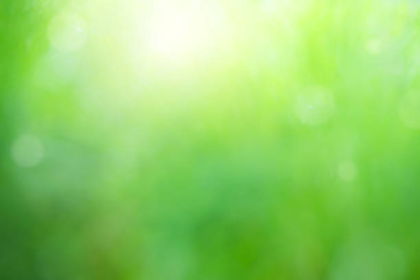 Green background bokeh blur nature bubble natural bright wallpaper mockup environment ecosystem zero carbon, bright magic fresh growth grass effect  shiny element space backdrop festive celebration.