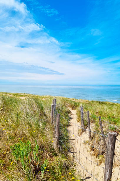 istock Beach Pathway Through Sandy Dunes Under a Bright Blue Sky Perfect for Summer Vacation Designs, Posters, and Wall Art 2166706242