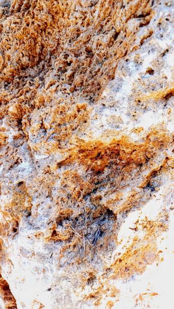 natural stone rough ground. stone backgrounds, text space