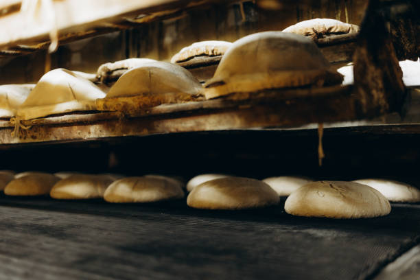 istock Fresh hot baked bread loafs on the production line 2166708079