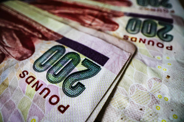 200 Egyptian Pounds banknote close-up.