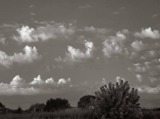 Cloudy sky at evening in the countryside. Summer, Tuscany