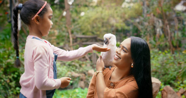 istock Mother, child and feeding a parrot at zoo for animal conservation, learning and development. Happy family, woman and girl kid playing with bird in biology habitat for wildlife knowledge and ecology 2166713980
