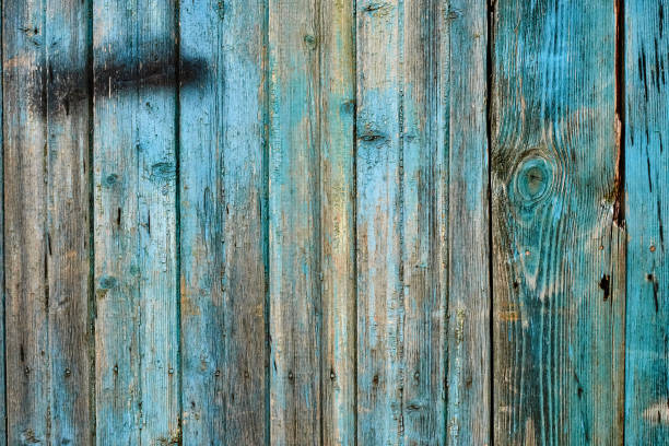 istock Weathered wood old panel, aged, dilapidated cracked surface with grungy texture, flaking fade paint cyan blue hues. Decay, erosion decrepit plank or floorboard. Ancient board with chipped and peeling 2166714148