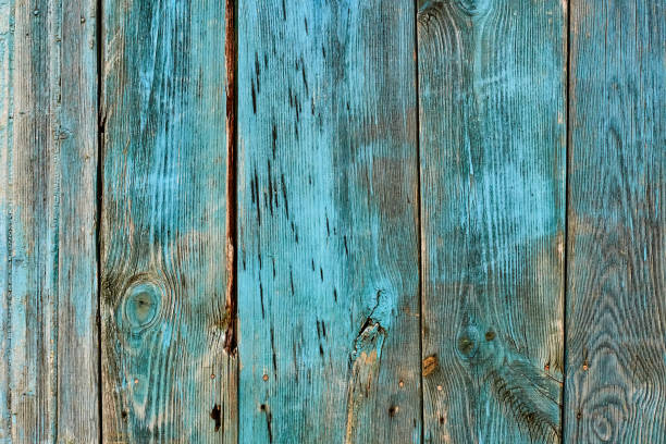 istock Weathered wood old panel, aged, dilapidated cracked surface with grungy texture, flaking fade paint cyan blue hues. Decay, erosion decrepit plank or floorboard. Ancient board with chipped and peeling 2166714167