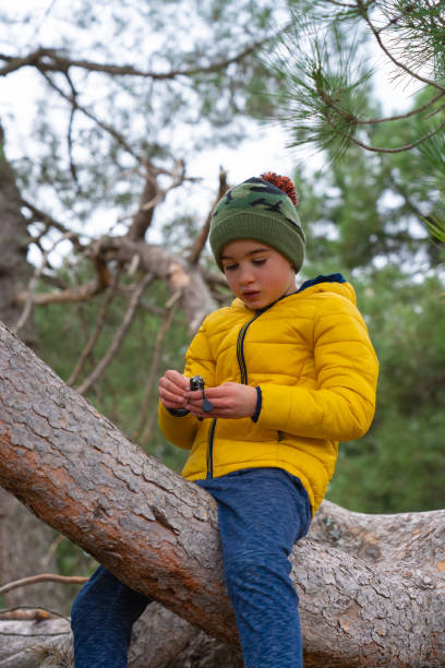 istock Boy sitting on a pine branch playing with his pocketknife in a forest on a cold day 2166714922