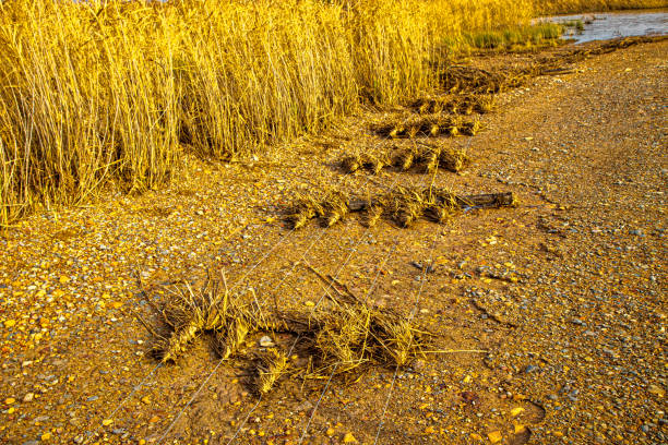 Destroyed fence with debris after severe flooding on Olifants river, Little Karoo, Western Cape, South Africa