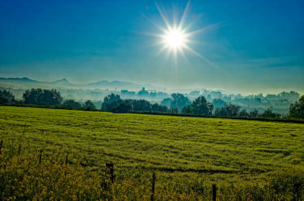 Field in early morning with sun shining through mist and silos in the background on the outskirts of Oudtshoorn, Western Cape, South Africa