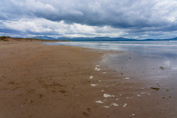 Dark clouds stretch across the length of Llanddwyn bay to the distant Snowdonia mountains.