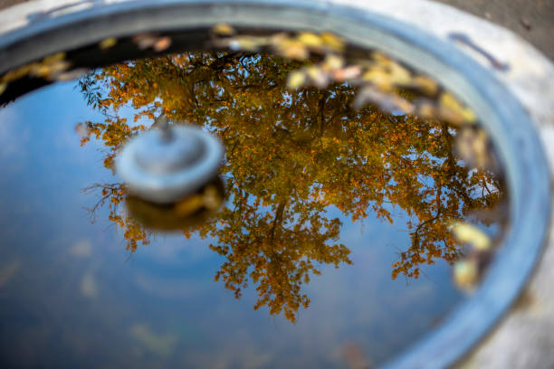 istock 2023 11 11 Madrid water mirrors 21 2166722252