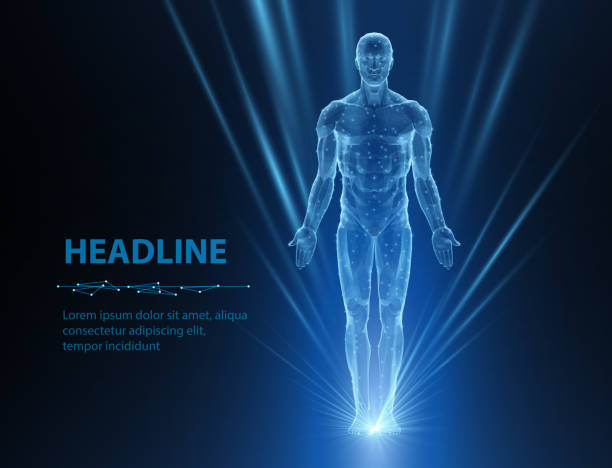istock Human body. Abstract vector. Digital anatomy, Medical technology, Muscle structure. 2166722753