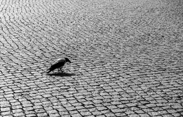 Photo taken in Wissembourg, France