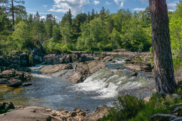 istock Whitewater rapid in river Affric, Scottish Highlands 2166725365
