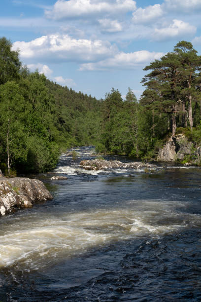 istock Rapid in Affric river flowing in between beautiful scottish pinetrees 2166725370