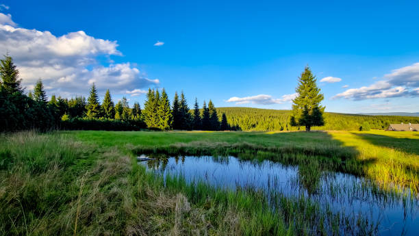 Mountain lake in Jizerka settlement in Jizera Mountains.