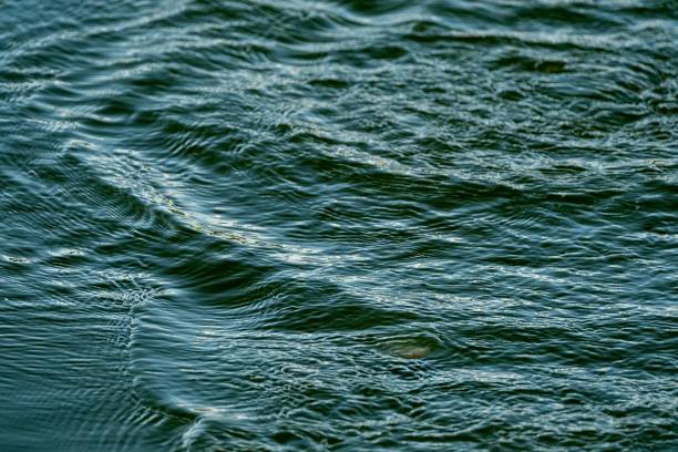 istock Rippling water surface in natural light 2166727987