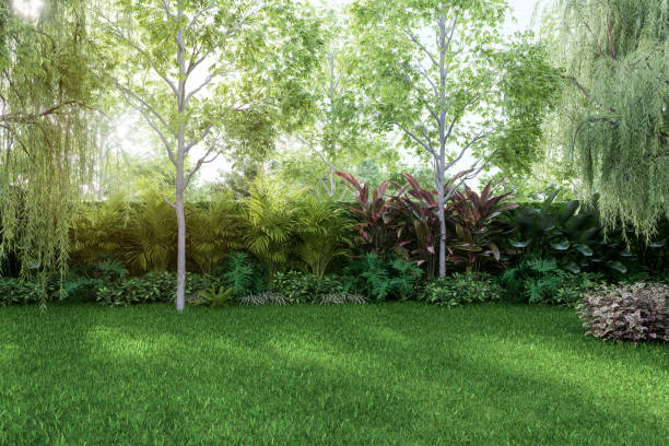 istock Empty green lawn for copy space with tropical style garden background 3d render 2166735588