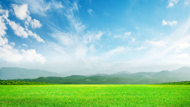 Summer landscape with green field, mountains and sky