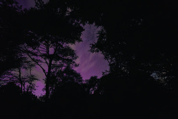 The Northern Lights, also known as the Aurora Borealis, was on show across the county with the sky painted in a mix of purple, pink and blue throughout the night and continuing into the early hours of the morning. Mullingar, Ireland, August 2024