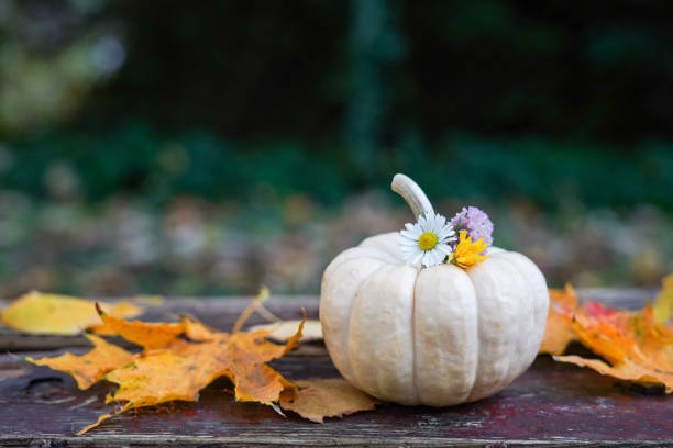 white pumpkin adorned with a few delicate flowers, placed on a wooden surface surrounded by fallen autumn leaves