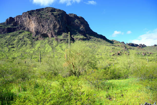 istock Sonora Desert Arizona Picacho Peak State Park 2166746191