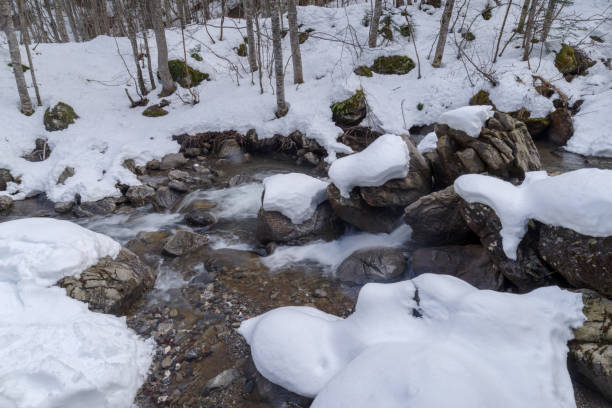 istock Flowing creek under the heavy snow 2166746516