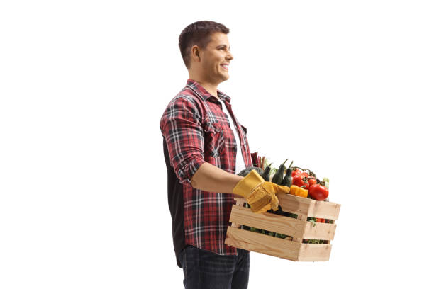 istock Farmer carrying a crate with vegetables and smiling 2166753323