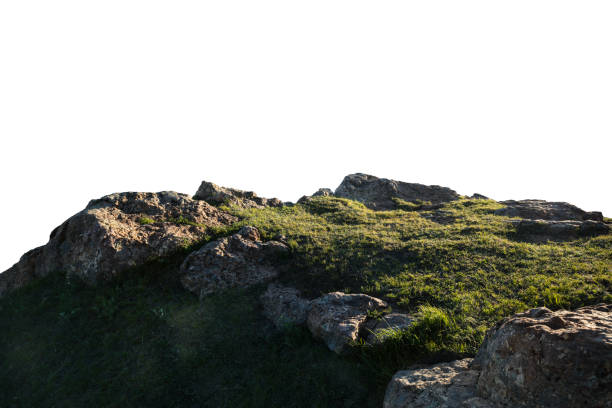istock Rocks and grass isolated on white background 2166754503