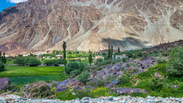 istock Suru Valley, Kargil, Ladakh India 2166757810