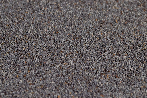 close up poppy seeds that are used in cooking and dessert production, scattered poppy seeds for cooking