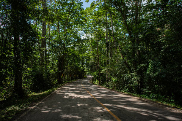 istock Country Mountain Road 2166761622