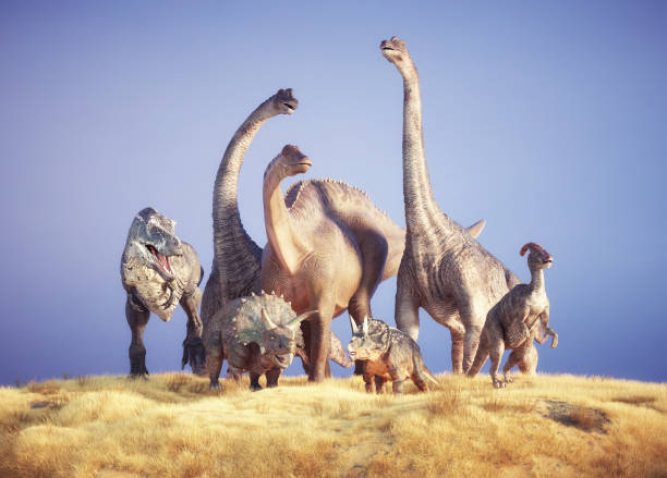 istock Dinosaurs - Triceratops, Brachiosaurus, and Ornithopod Dicraeosaurus on a dry grass field. 2166762374