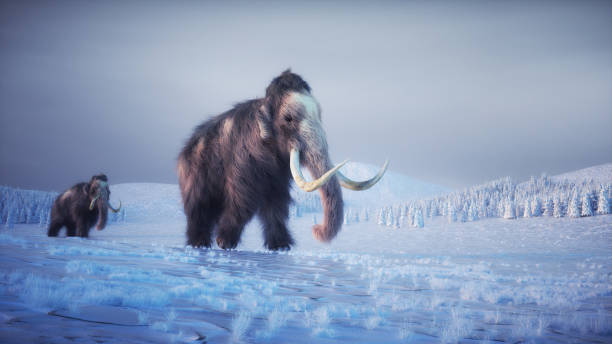 istock Mammoth in a winter landscape 2166762380