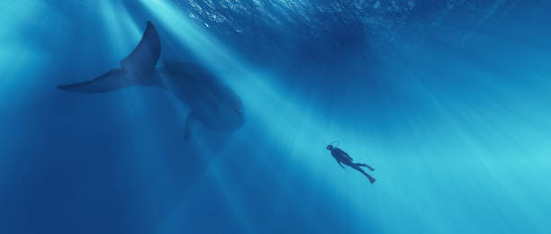 Diver in danger near a whale. This is a 3d render illustration