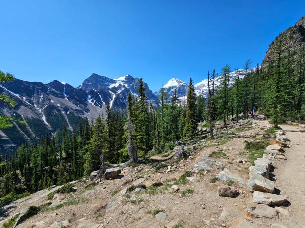 istock Plains of Six Hike 2166762893