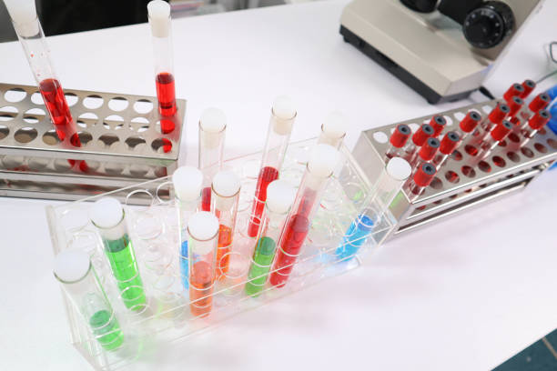 Scientific experimental equipment placed on a table in a lab.