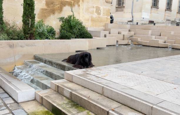 Hot day in Aix en Provence