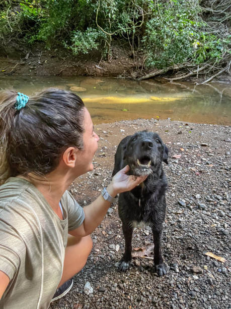 istock Woman Playing with Dog by a Stream in the Forest 2166770334