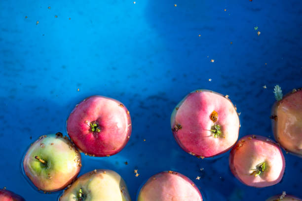 A bunch or red and ripe apples floating on water