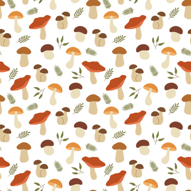 bezszwowy wzór z różnymi jadalnymi grzybami; jesień tło - grzybobranie stock illustrations