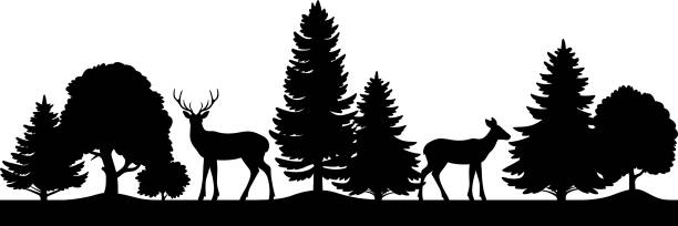 illustrazioni stock, clip art, cartoni animati e icone di tendenza di cerchio senza cuciture silhouette nera di cervi e foreste. - cervo cervide