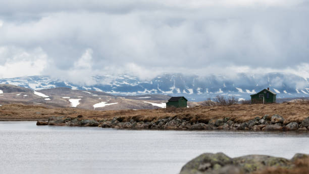 istock Hardangervidda National Park in Norway 2166774810
