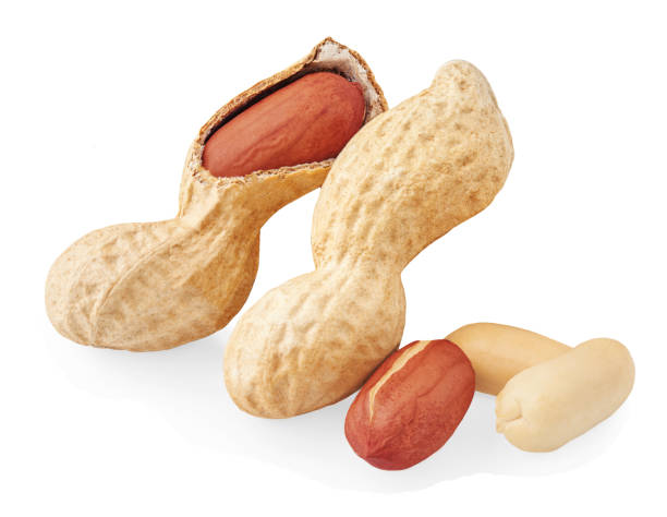 istock Isolated Peanuts. Whole and peeled peanuts on white background. Package design element. Macro 2166775277