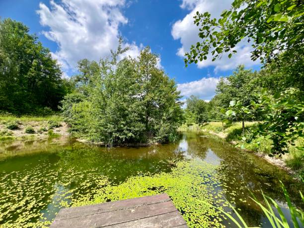 istock Beautiful summer landscape with a small river and blue sky with clouds 2166782576