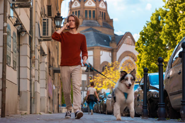 istock Young handsome Caucasian man wearing eyeglasses calls in cellphone walking with leashed pure breed aussie dog. Beautiful city landscape in background 2166785033