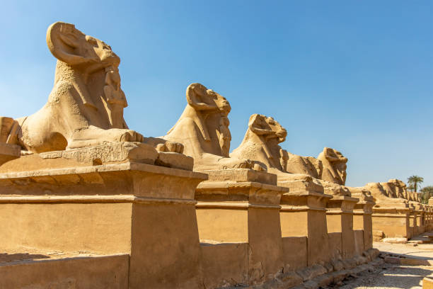 istock Whispers of the Past: Karnak's Avenue of the Sphinxes 2166798657