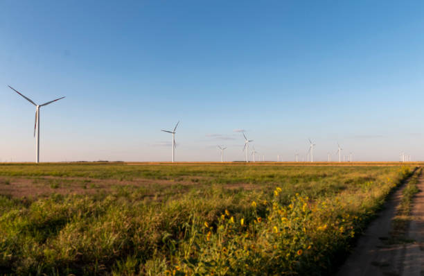 istock Vibrant sunflower fields stretch toward the horizon, beautifully contrasting with towering windmills against a clear blue sky. 2166798686