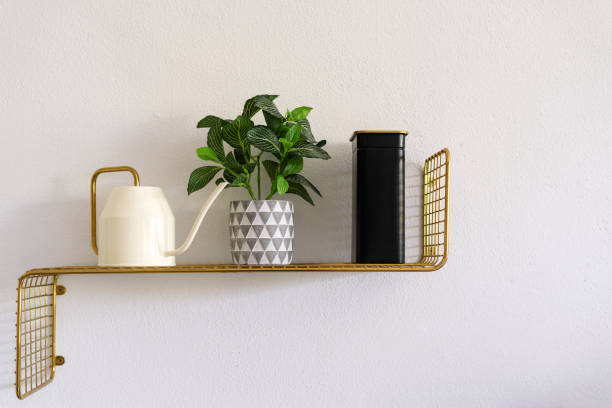 istock Decorative shelf with a watering can, plant, and storage container against a white wall 2166801307